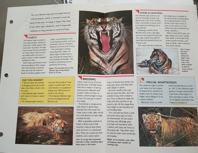 WILD LIFE FACT-FILE Group 1 Mammals #169 $4.07 - PicClick CA