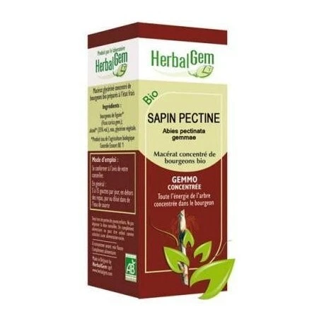 GEMMOBASE Sapin pectine