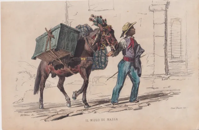 Il mulo di Massa F.Palizzi 1853 De Bourcard bulino acquarellato