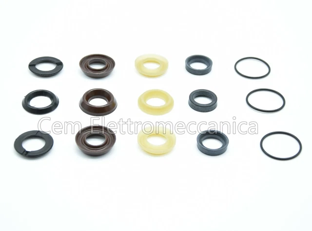 Pressostat Pompe Eau Kit De Réparation Pour Pompe D'hydrocureuse Annovi Reverberi 143 TWIN FLOW - Pistons Et Joints Pompe Piscine