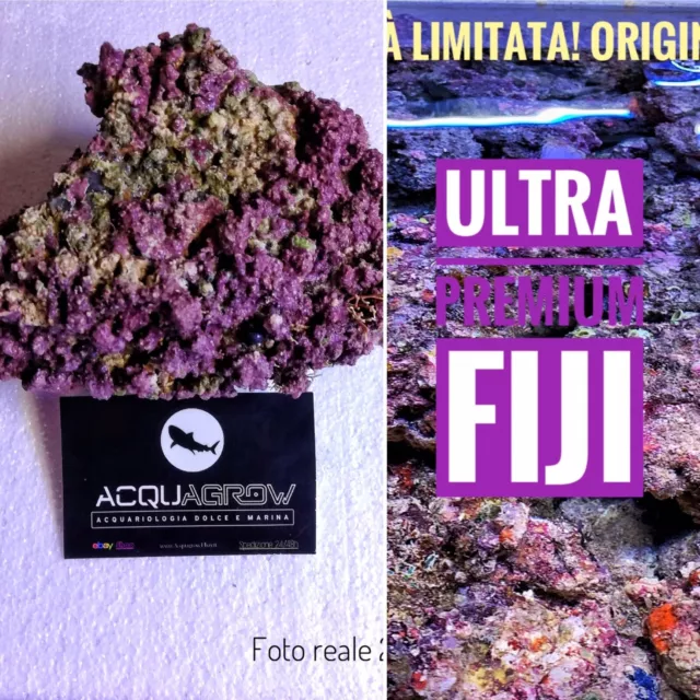 ✅NEW! Rocce Vive ORIGINALI FIJI Qualità ULTRA Premium Acquario marino Tropicale