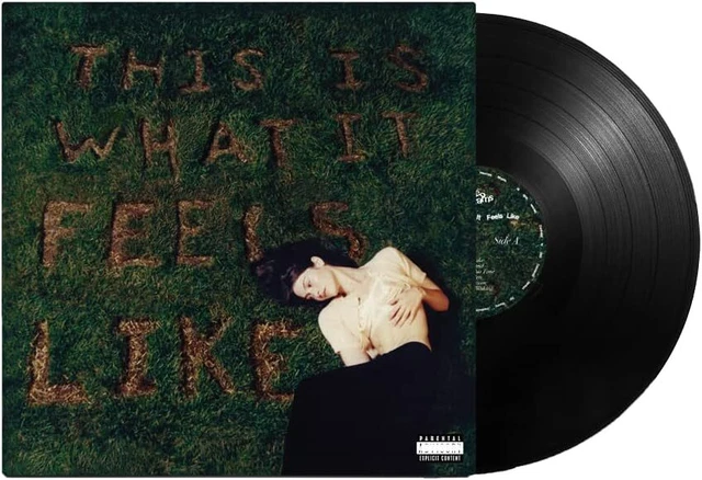 THIS IS WHAT It Feels Like [VINYL] EUR 36,55 - PicClick IT