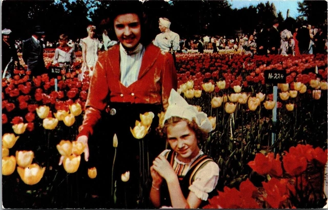 Holland Michigan Tulip Time Scenic Flower Fields Dutch Girls Chrome Postcard