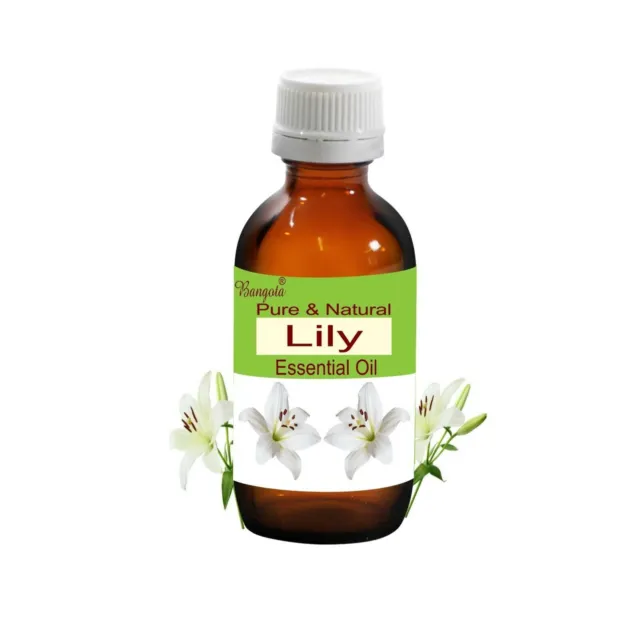 Lily Pure Natural Aceite esencial sin diluir Lilium candidum de Bangota