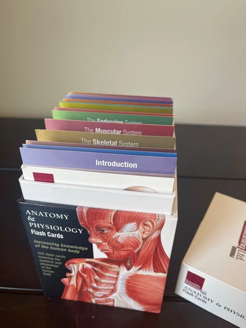 Anatomy & Physiology Flash Cards - Cards By Scientific Publishing