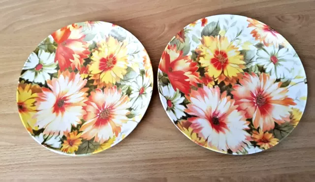 2 assiettes de camping Vintage en mélamine