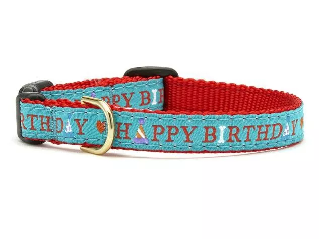 Up Country NWT Size 14 Teacup Happy Birthday Dog Collar PREPPY
