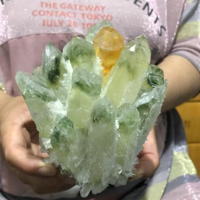 1040g  New Find Green Phantom Quartz Crystal Cluster Mineral Specimen Healing