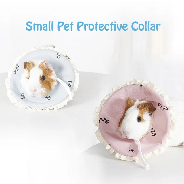 Cône de cou mignon Col de récupération Collier pour animaux de compagnie