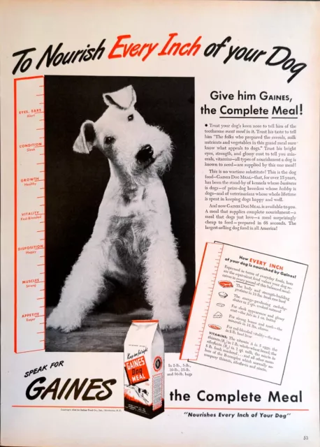 1944 Gaines Print Ad Dog Meal Food Nourishment Wire Fox Dog Breed