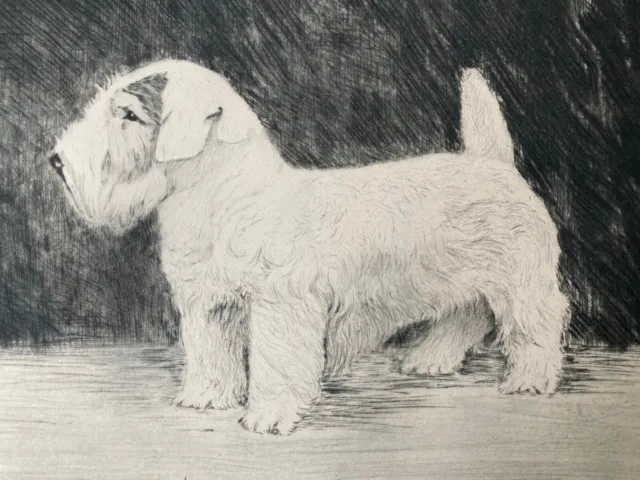 Moritz von Gruenewaldt Scottish Terrier - Signierte Original Radierung um 1920