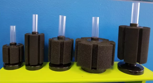 Sponge Filters