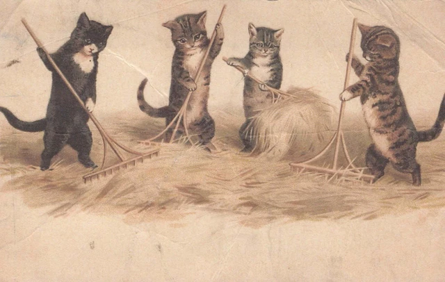 Vieille Carte Postale CPA CHAT CHAT – Animaux Vintage, Modèle PKE751.F