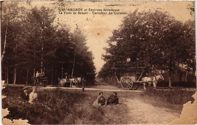 CPA Brunoy Le Foret de Senart FRANCE (1370494)