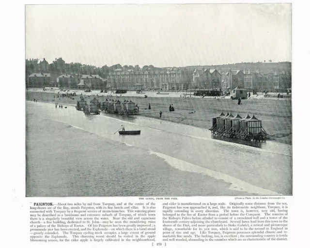 Paignton Devon Beach and Town From Pier Antique Old Picture Print 1895 RTC#273