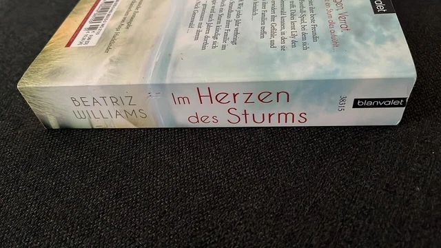 Im Herzen des Sturms von Beatriz Williams 3