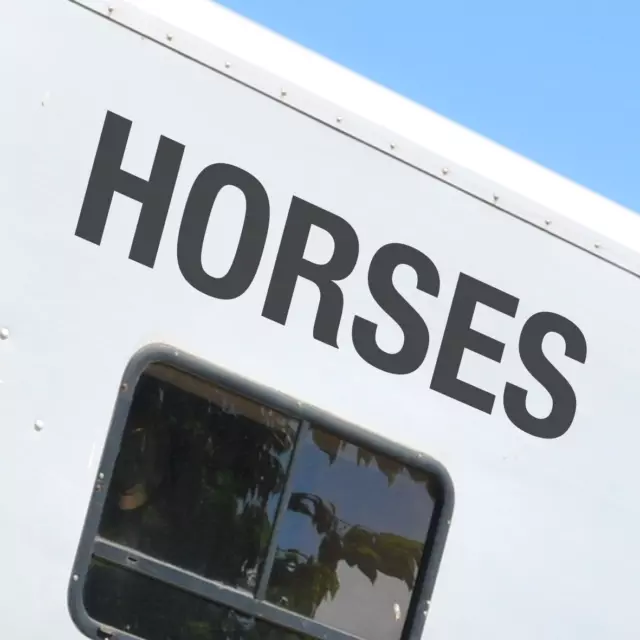 x2 'HORSES' DECALS -Horsebox Equestrian Trailer Vinyl Lettering Sticker Decal