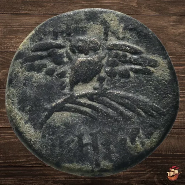 Ancient Greek coin - Mysia Pergamon (200-133 BC) Athena / owl @276