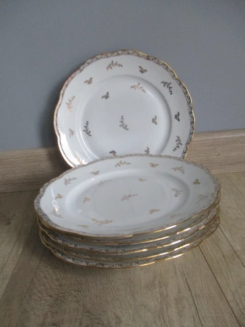 Lot De 6 Assiettes Plates En Porcelaine - Décor Floral élégant Pour 6 Personnes, Idéales Pour Repas Et Occasions Spéciales