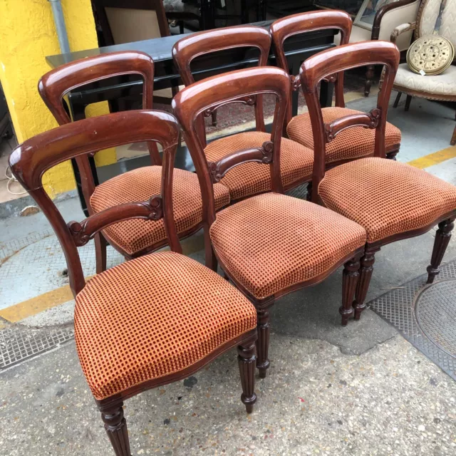 Suite De 6 Chaises En Acajou 19  Eme Siecle  11251