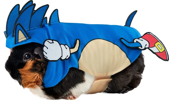 Rubie's Italy: COSTUME DA DONNA CN