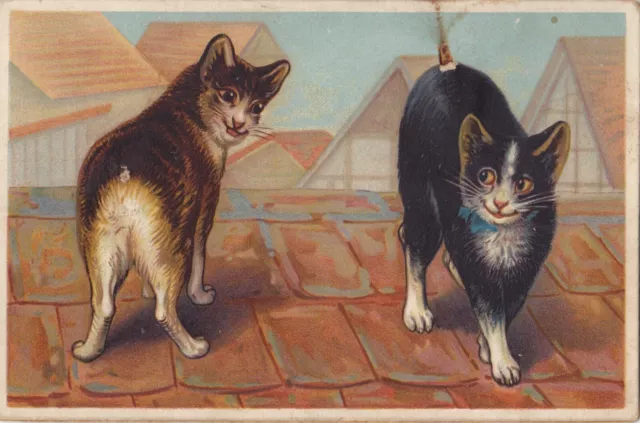 Carte postale illustrée card 猫 cat catze gato chats sur un toit