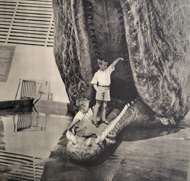 Two Boys In Mouth Of Whale London Zoo 1955 Illustrated London News 10x14"