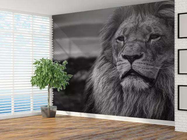 Lion portrait at sunset black and white photo Wallpaper wall mural (23091788)