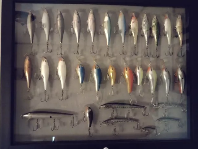 30 Rapala Lures -ssr8, Fat Rap Salmon Specials Etc Disc Lures And Colors