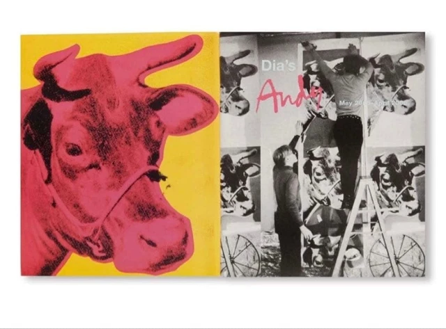 ANDY WARHOL ART Book Collection Modern Pop Icon From Japan £129.04 ...