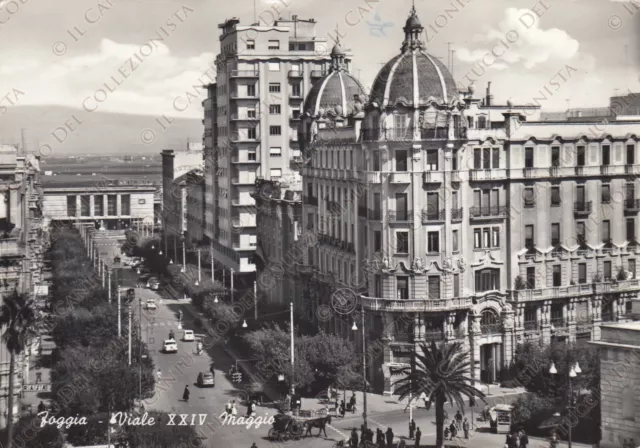 Foggia Viale XXIV Maggio animata negozi e automobili Cartolina