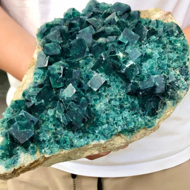 7.03lb  Natural Green cubic Fluorite Crystal Cluster mineral sample healing