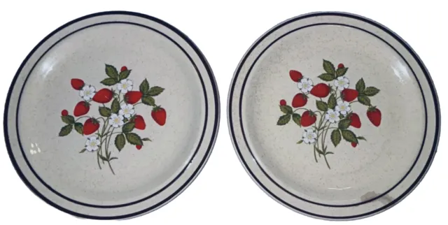 VINTAGE NEWCOR REGENCY SUSANNE STONEWARE Strawberry 7.5” Dessert Plate Set Of 2