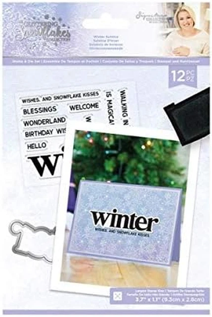 Glittering Snowflakes Collection-Stamp & Die-Winter Solstice, One Size, Silver