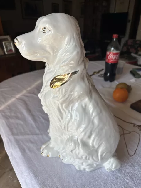 Statua Antica Antiquariato cane cocker porcellana e Oro  zecchino 2