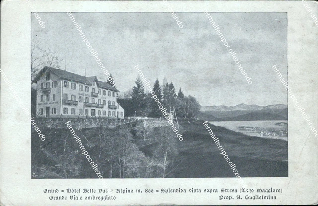 cg61 cartolina grande hotel belle vue e alpino stresa lago maggiore verbania