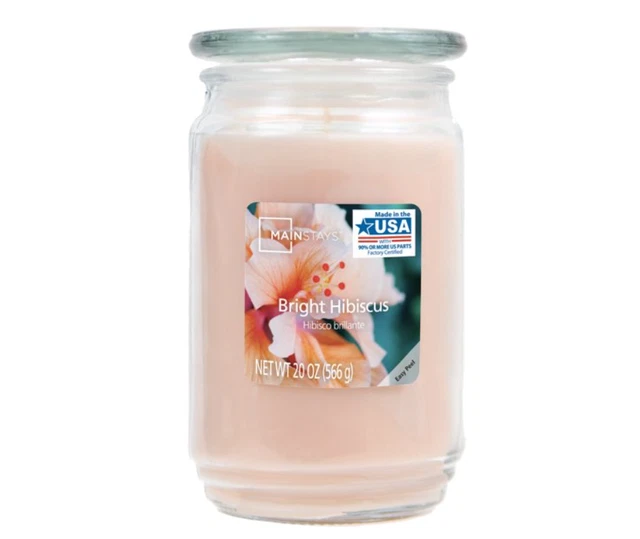 NEW Mainstays Scented Large Candle Jar Single Wick 2 Essences 20oz FREE SHIPPING