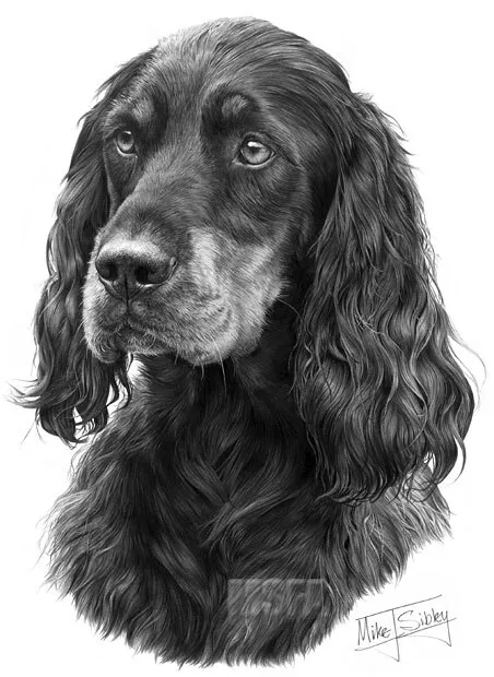 Gordon Setter Large Superb Quality Giclee Print by Mike Sibley, Collectable
