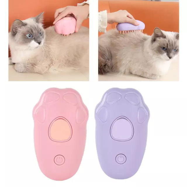 Brosse pour chat torride, élimine les poils volants, peigne pour chat,