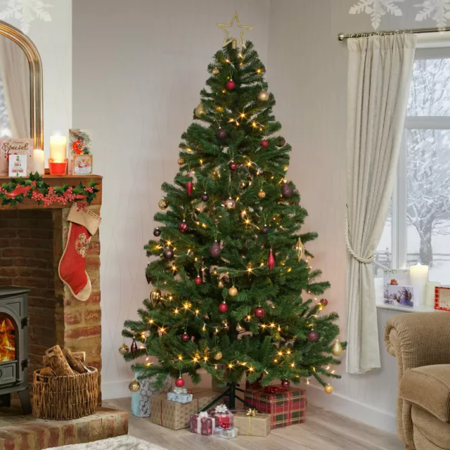 Christmas Tree Xmas Colorado Spruce 4ft 5ft 6ft 7ft 8ft or 10ft Free Delivery