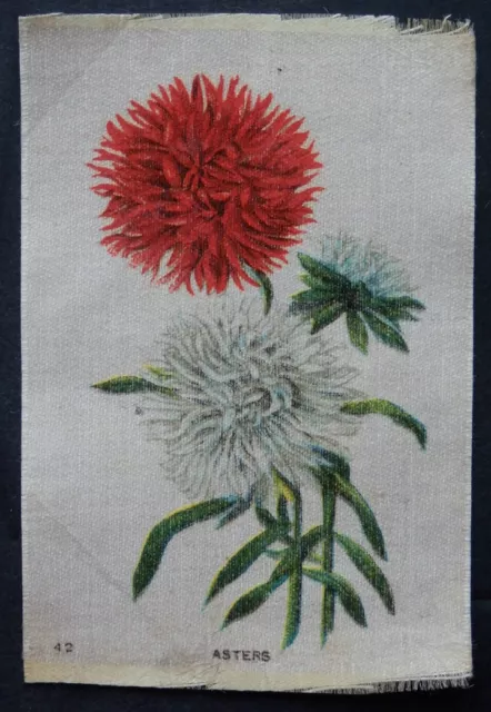 ASTERS GARDEN FLOWERS of the WORLD  1913 Imperial Tobacco Silk  LARGE