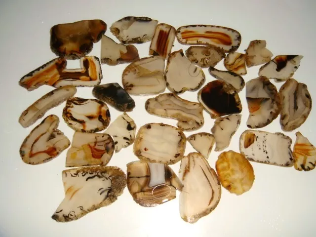 Small Old Montana Dendritic Agate Slab Pieces