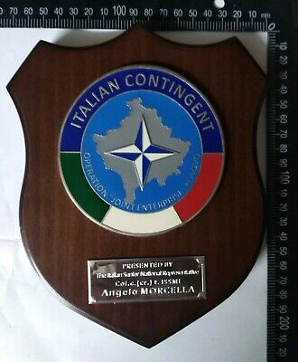 crest esecito italiano operazione joint Enterprise.In ottime condizioni 