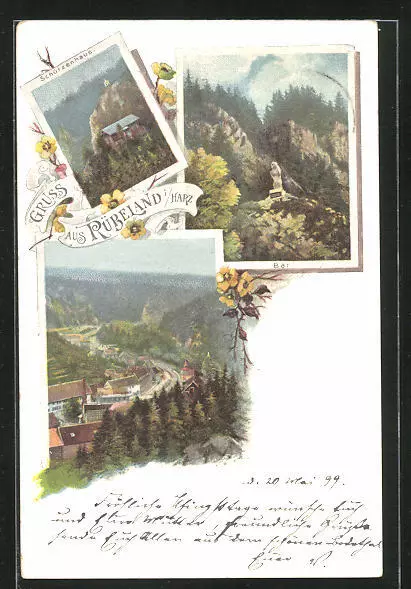 Künstler-AK Rübeland i / Harz, Schützenhaus, Bär, Teilansicht 1899