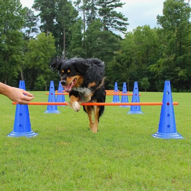 Juego portátil de entrenamiento para mascotas de plástico mascotas barra de salto entrenamiento de obstáculos