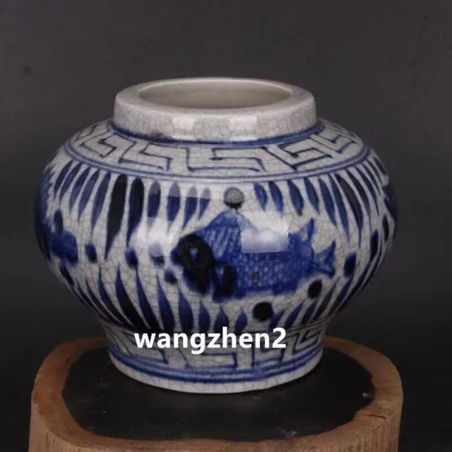 Exquisite Chinese porcelain Blue and white porcelain fish pattern jar & pot