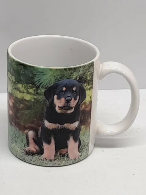 Vtg Collectible Rottweiller Dog Coffee Mug Cup Barbara Augello Xpres 1994