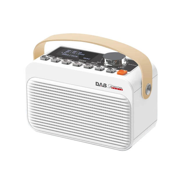 Lecteur Mp3 Radio Portable Mycket - FM/DAB & Bluetooth 5.0 - Rechargeable USB - 80 Stations Préréglées Poste Radio