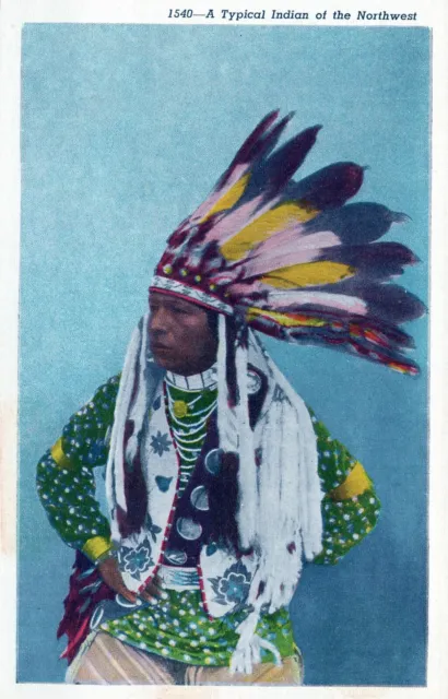 Typical Indian of Northwest Native American Unposted Postcard