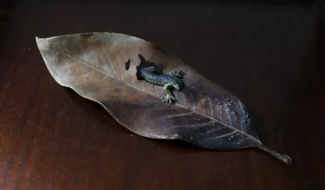 Cold Painted Bronze Austrian Vienna  Lizard And Leaf